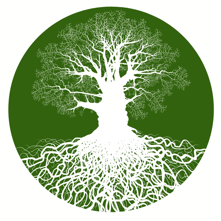 Roots of Resilience